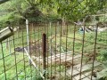 IMG_20261025_093844