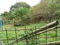 IMG_20261025_093846