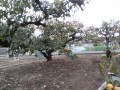 IMG_20261025_112601