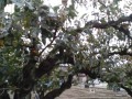 IMG_20261025_112604