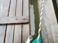 IMG_20261026_115944
