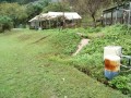 IMG_20261026_120149