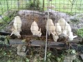 IMG_20261026_120810