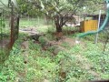 IMG_20261026_120827