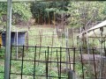 IMG_20261026_120849