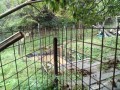 IMG_20261026_120906