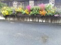 IMG_20261026_165616