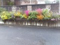 IMG_20261026_165631