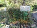 IMG_20261027_072310
