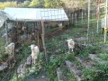IMG_20261027_072454