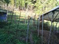 IMG_20261027_072819