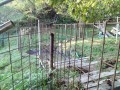 IMG_20261027_072830