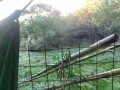 IMG_20261027_072832