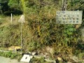 IMG_20261028_084914
