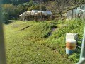 IMG_20261028_085010