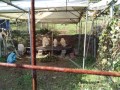 IMG_20261028_102332