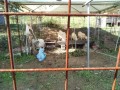 IMG_20261028_102338