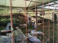 IMG_20261028_102401