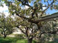 IMG_20261028_113545