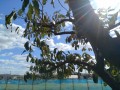 IMG_20261028_113602