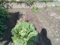 IMG_20261028_113611