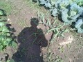 IMG_20261028_113627