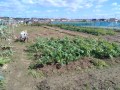 IMG_20261028_113634