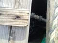 IMG_20261029_091612
