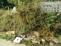IMG_20261029_091621
