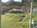 IMG_20261029_091657