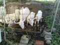 IMG_20261029_091952