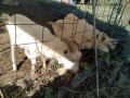 IMG_20261029_092000