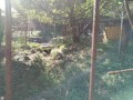 IMG_20261029_092018