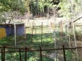 IMG_20261029_092028