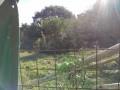 IMG_20261029_092041