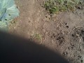 IMG_20261029_112502