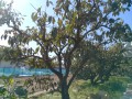 IMG_20261029_112614