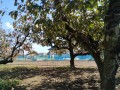 IMG_20261029_120356