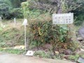 IMG_20261030_084954