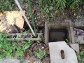 IMG_20261030_085002