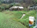 IMG_20261030_085038