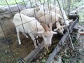IMG_20261030_090317