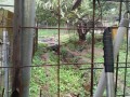 IMG_20261030_090321