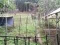 IMG_20261030_090333