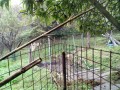 IMG_20261030_090347