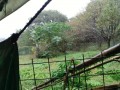 IMG_20261030_090348