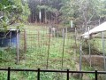 IMG_20261030_090400