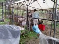 IMG_20261030_091429
