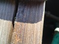 IMG_20261031_093436