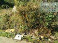 IMG_20261031_093443